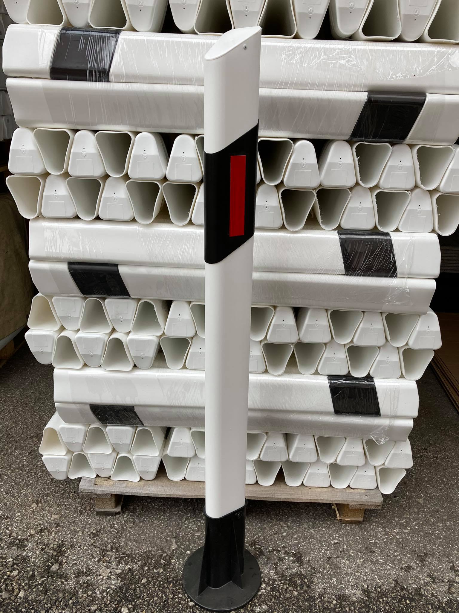 215742757_148529427283719_8682901565600641583_n